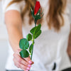 Red Rose