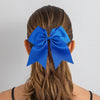 Blue Cheer Bow for Girls Large Hair Bows with Clip Holder Ribbon