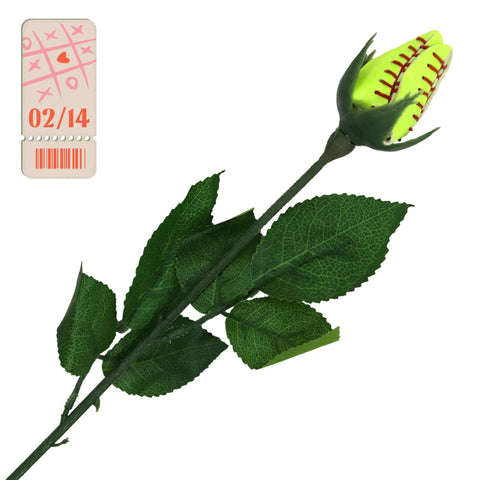 Softball Sports Rose