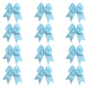 12 Light Blue Cheer Bows for Girls Large Hair Bows with Clip Holder Ribbon